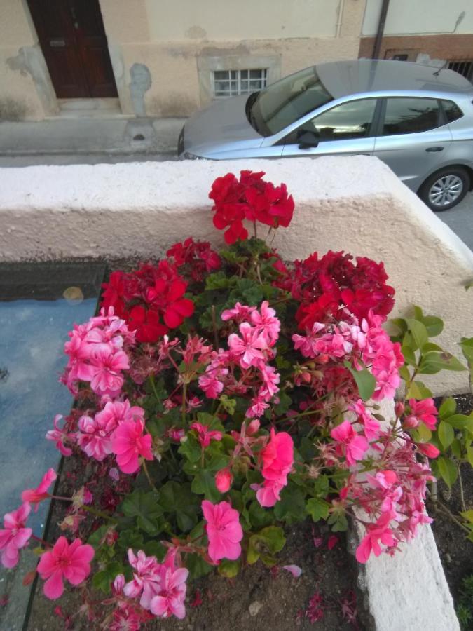 Farol De Vida Apartment *